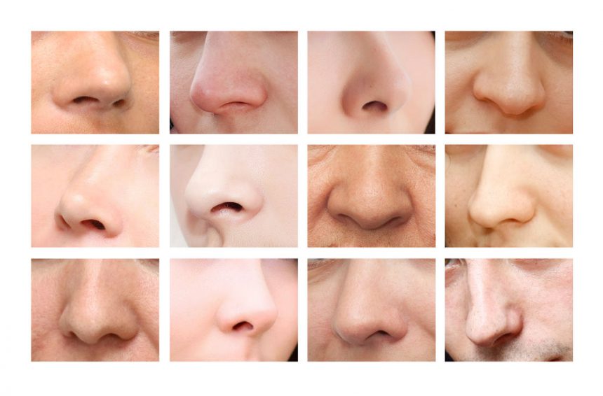 Nosy, noski, nochale – dlaczego zależy nam na ich dobrym kształcie?